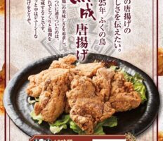 48時間熟成唐揚げをご賞味ください
