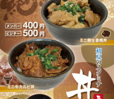 初夏のスタミナ丼