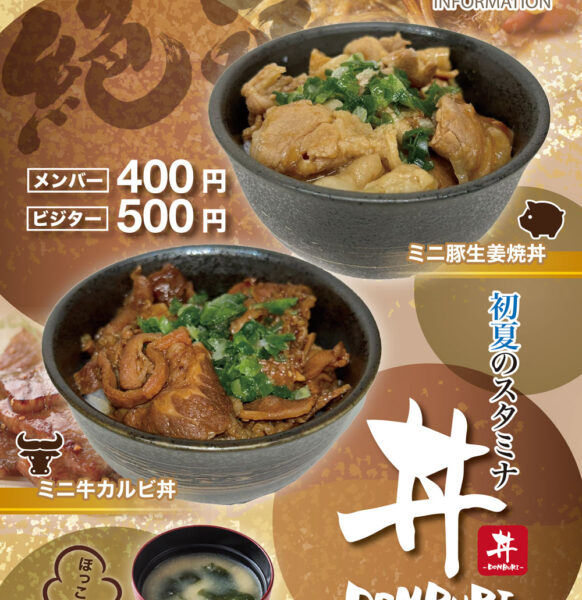 初夏のスタミナ丼