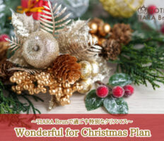 クリスマス限定予約★ご予約受付中