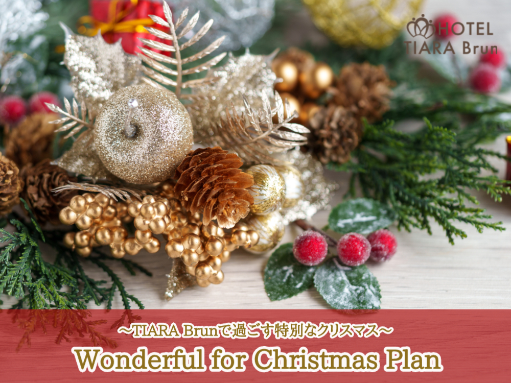クリスマス限定予約★ご予約受付中